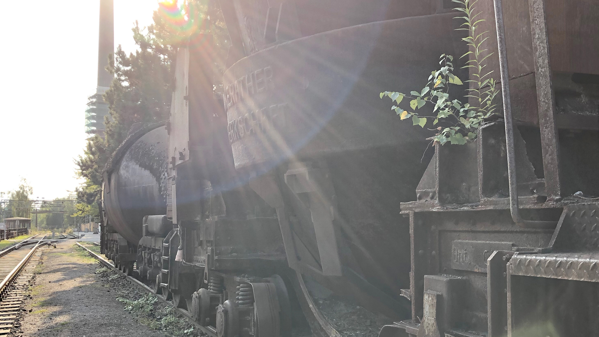 Dirt Diggers 2018 - BTS - Production Crew - Image 15 Dirt Diggers 2018 - BTS - Production Crew - Image 15